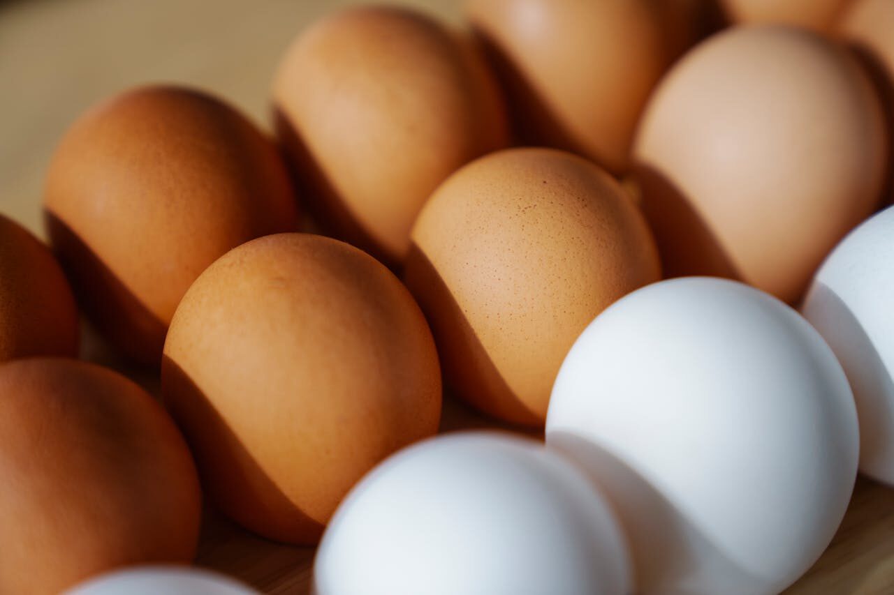 huevos como proteina de alto valor biologico